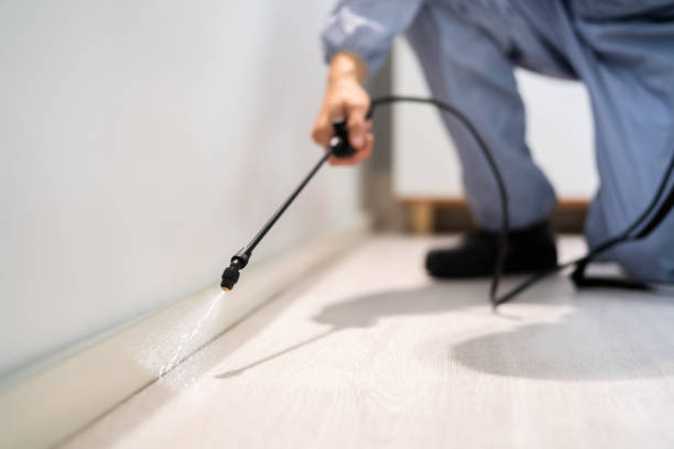 Licensed Termite Control service in Burlington, VT - Nex Pest Control