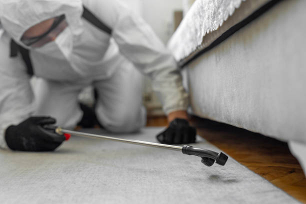 Professional Termite Control technician working in Burlington, VT