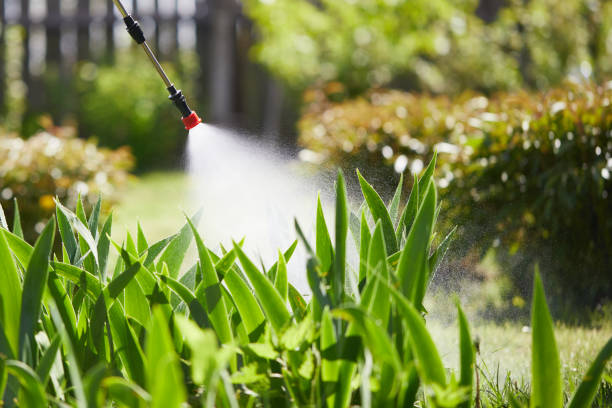 24/7 Emergency Termite Control experts in Burlington, VT