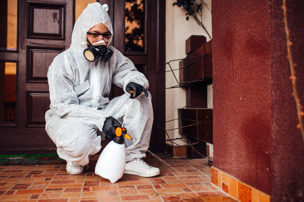 Reliable Termite Control contractor in Burlington, VT by Nex Pest Control