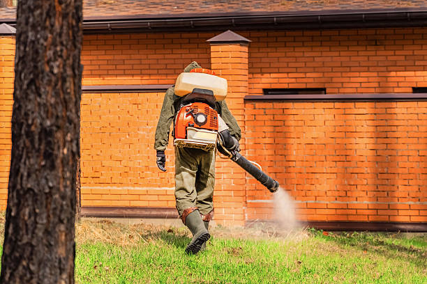 Top rated local Termite Control specialists in Burlington, VT
